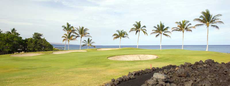 Hawaii Golf Shuttles