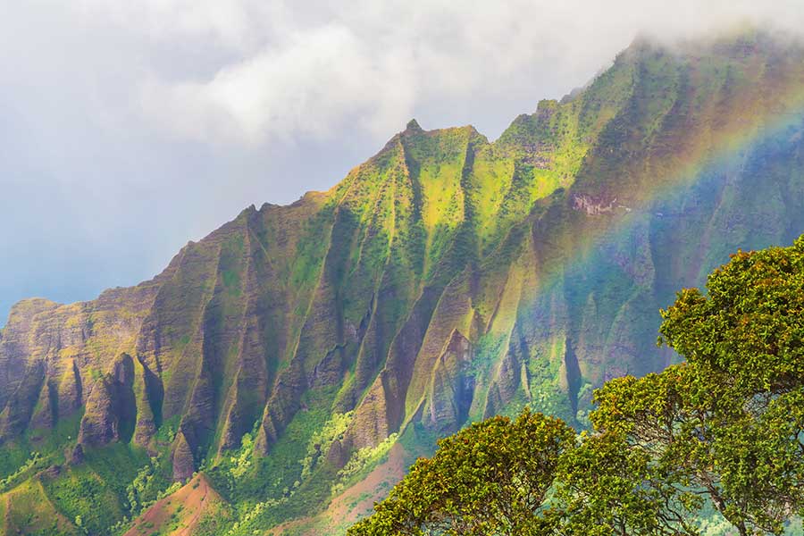 Kauai Tours