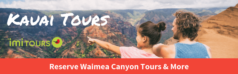 Kauai Tours