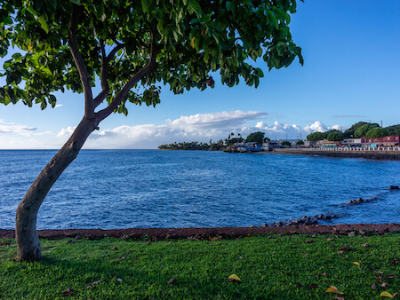 Things to do in Lahaina