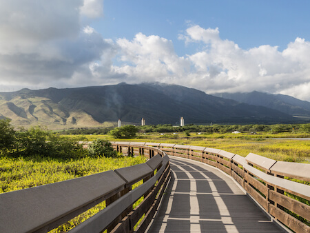 Things to do in Maalaea