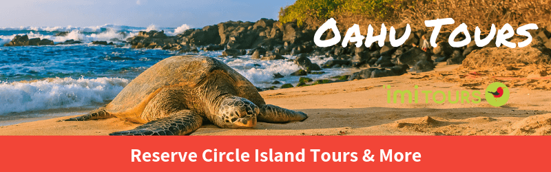 Oahu Tours