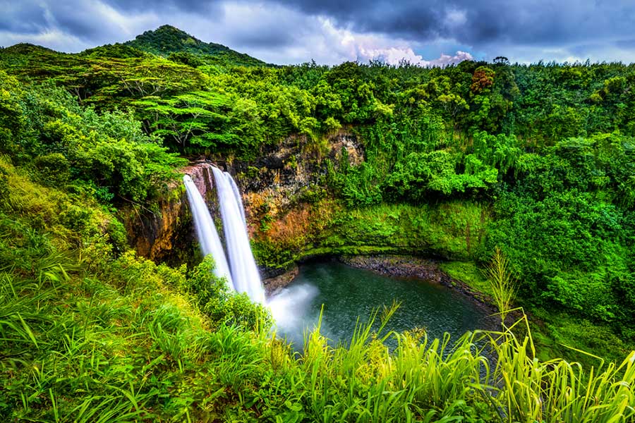 Kauai Tours