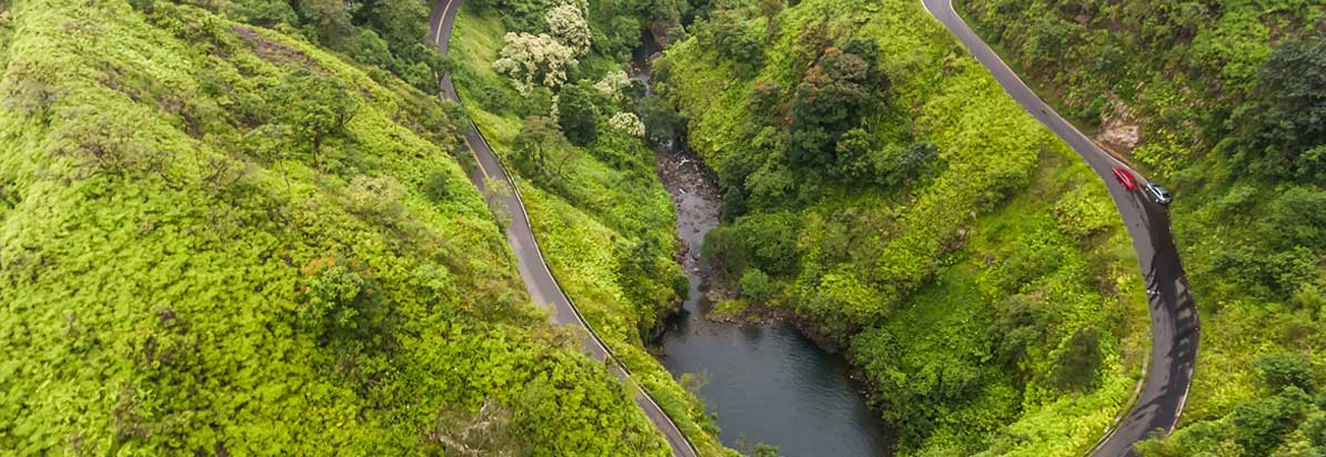 Maui Visitors Guide