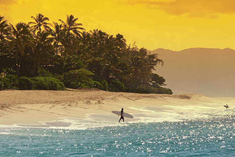 Surfing at North Shore Beach Oahu