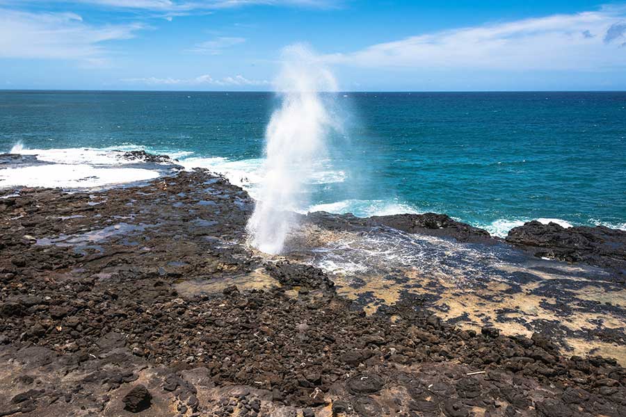 Hawaii Tours