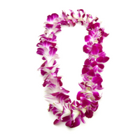 Aloha Lei