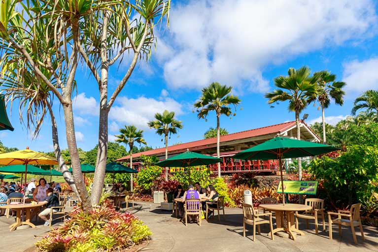 Hawaii Airport Shuttle and Tours