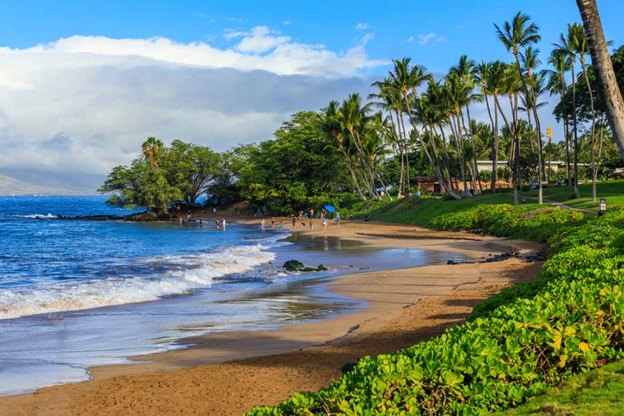 SpeediShuttle | Things to do in Wailea