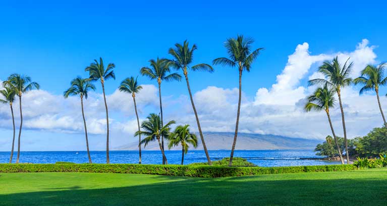 Hawaii Airport Shuttle and Tours