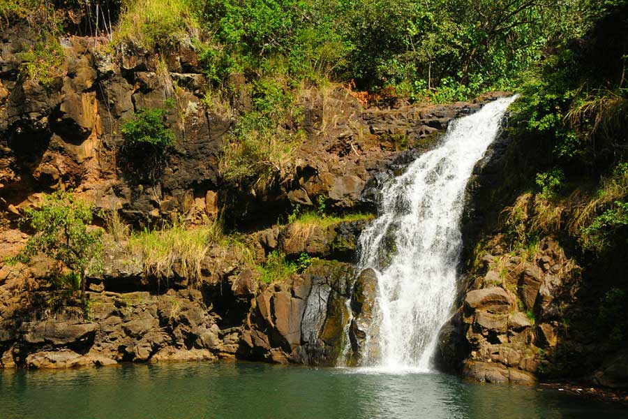 Kauai Tours - Waimea Canyon Tour