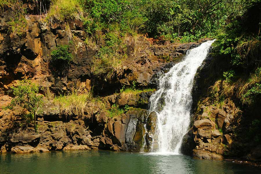 Waimea Valley Waterfall Tour