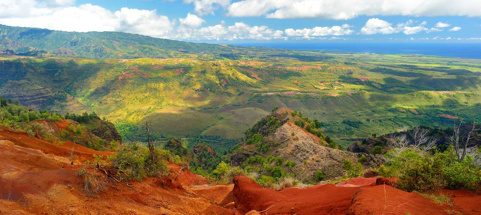 Waimea Canyon Half Day Eco Fun Kauai Tours Speedishuttle Waimea Canyon Half Day Eco Fun Kauai Tours Speedishuttle